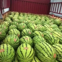 硒砂瓜也叫石头瓜已经大量上市了，品种金花1号，代办，代发