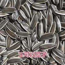 瓜子