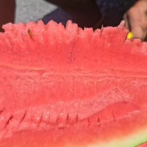 应季西瓜一件代发量大优惠