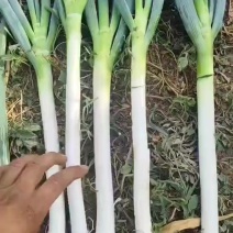 大量批发