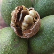 青皮核桃，鲜核桃，去皮核桃