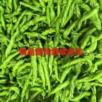 陕北辣椒大量上市，欢迎砸单，品质保证，服务全国优质客
