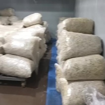 湖北当阳鱼腥草精品根