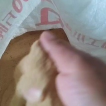 赣州地区，我有黄粉虫的虫沙，有需要的请联系我，