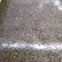 牛蛙小四脚