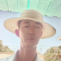 青海龙羊峡冰鲜三文鱼