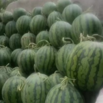 无籽麒麟，口感苏脆要的联系
