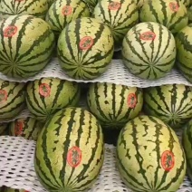 甘肃靖远晒沙地西瓜