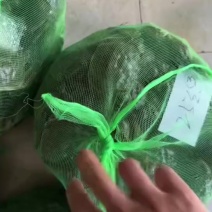 精品六月黄，全国发货