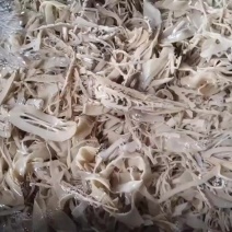 炭烤笋片
