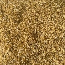 龙牙红干货