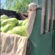 西瓜