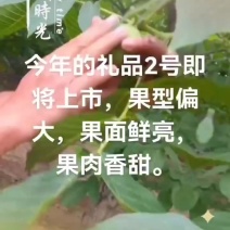 一三六九三一二三八六三