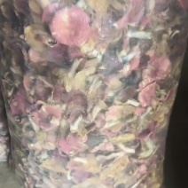 野生菌