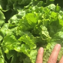 泡沫箱