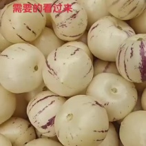 人参果