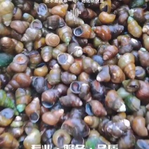 蒋坝小螺丝