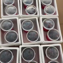 卤六月黄，嘎嘎，很好吃，全国可以发货