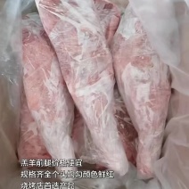羔羊前腿价格便宜