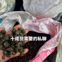 钓笼饲料螺蛳-蚂蝗-青蟹饲料