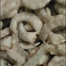 潍坊滨海养虾厂里批发无冰衣，无保水剂手扒原浆速冻鲜虾仁