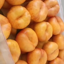 油蟠桃九，七，大量上市中有需要客商联系我