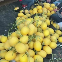 金色年华