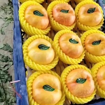 黄油潘