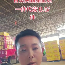甘肃民勤蜜瓜，一件代发，批发市场，产地直发，来电预约