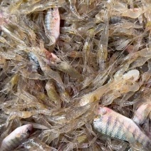 水库河虾