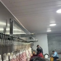 新鲜兔肉天天都是批发价，么规格的都有兔头，兔腿，兔肚都有