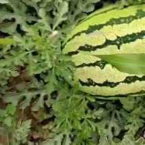 山西忻州忻府区