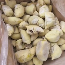冷冻榴莲肉，全国代发，各种包装