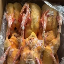 杭州湖州番鸭冻品直供
