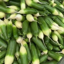 水果萝卜批发