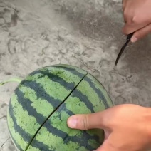 无籽美都麒麟瓜全国代发，货源充足，质量三包