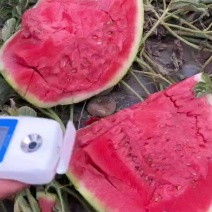 宁夏硒砂瓜正经石头瓜