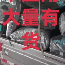 干豆角