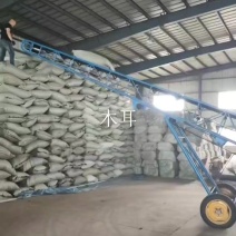 2026年黑木耳大量上市精品黒厚无根需要的来