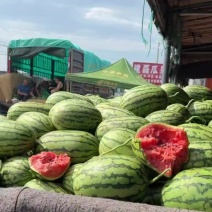 2k小吊瓜，L600西瓜，潍坊吊瓜，小西瓜，小糖丸吊瓜！