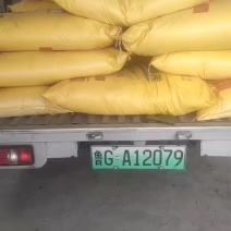 农盛尿素品牌速效加长效缓释