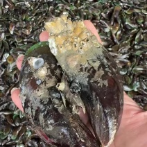8.9个一斤