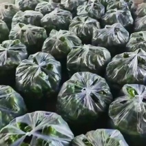 青椒