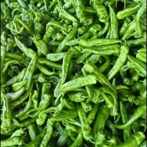 牛角椒，线椒，螺丝椒，圆椒，大小皱皮