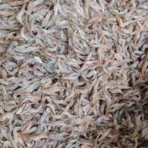 速冻小河虾