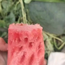 新拳王大量有货，口感酥脆甜，皮薄，瓜型正！要的老板联系我