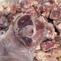 后腿骨