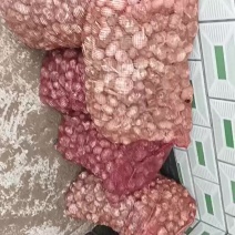 大蒜