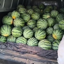 美都麒麟西瓜