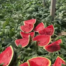 甜王10斤打底大的20斤左右
